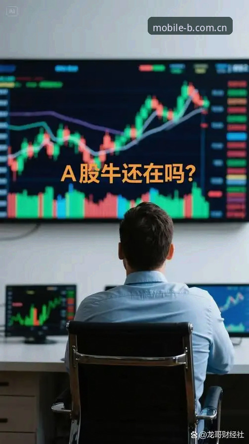 b体育怎么样 年交易量突破百亿:资深用户分享B体育官网使用心得与趋势分析